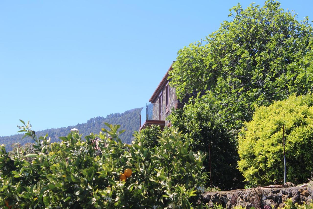 Quinta Naranjos Tigalate